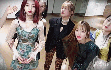 신곡 소개하는 오마이걸 비니 v앱 gif | 인스티즈