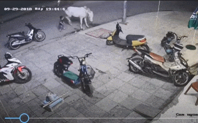 말의 무서움ㄷㄷ | 인스티즈