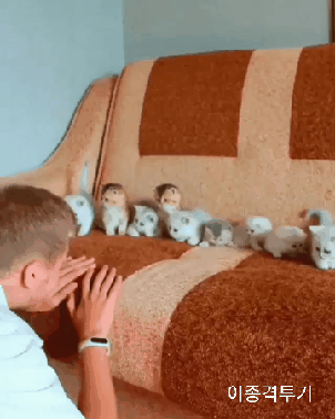 친구들 여기 보세여 gif | 인스티즈