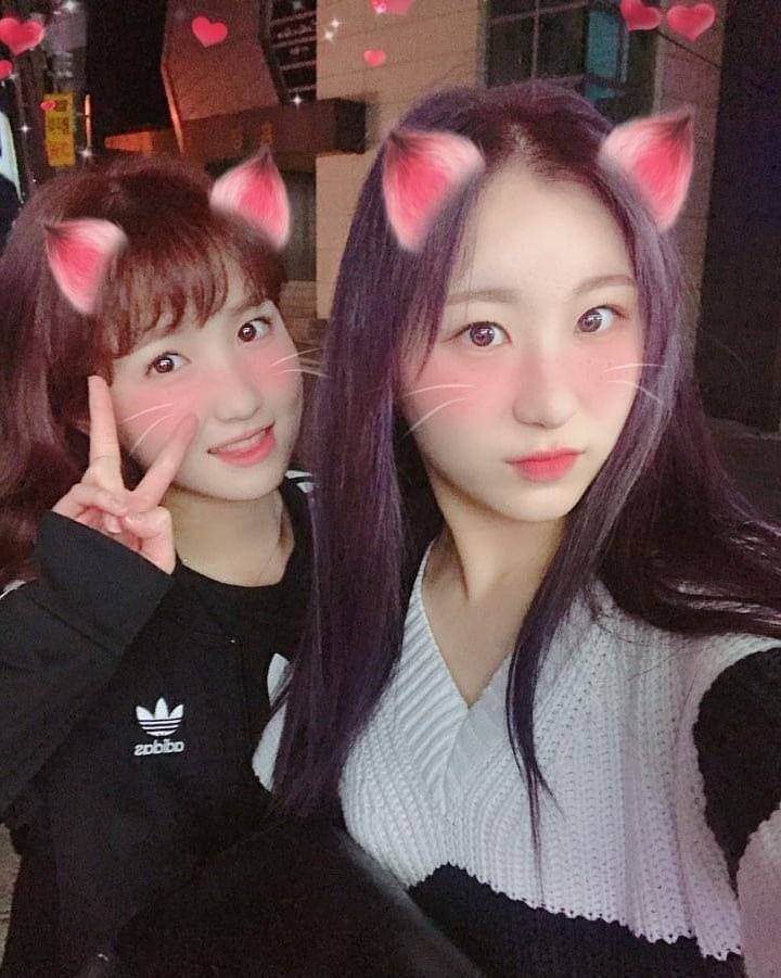 [아이즈원] 공식 인스타 업데이트(Feat. 히토미로부터의 메세지) | 인스티즈