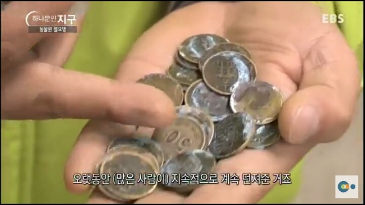 동물원 동물들이 월요병 생기는 이유 | 인스티즈