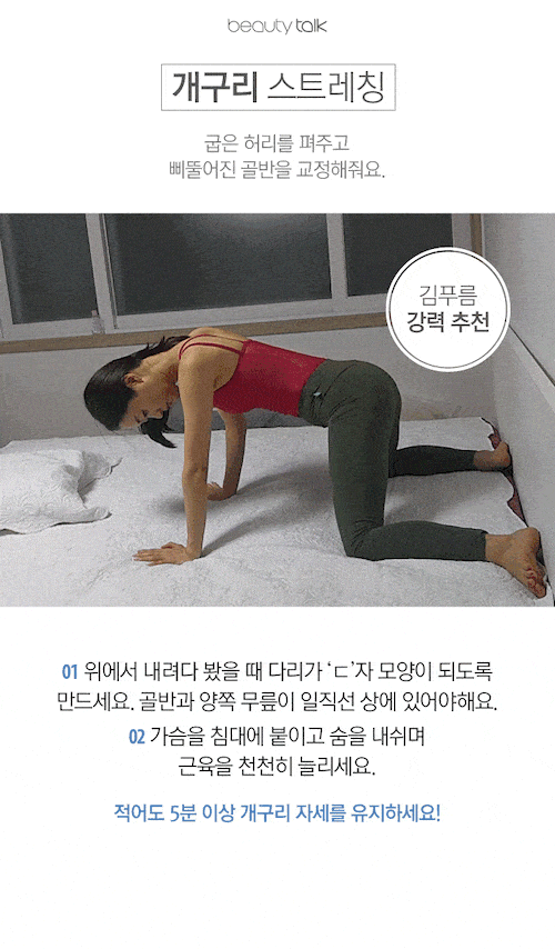 골반에 좋다는 개구리 스트레칭.gif | 인스티즈