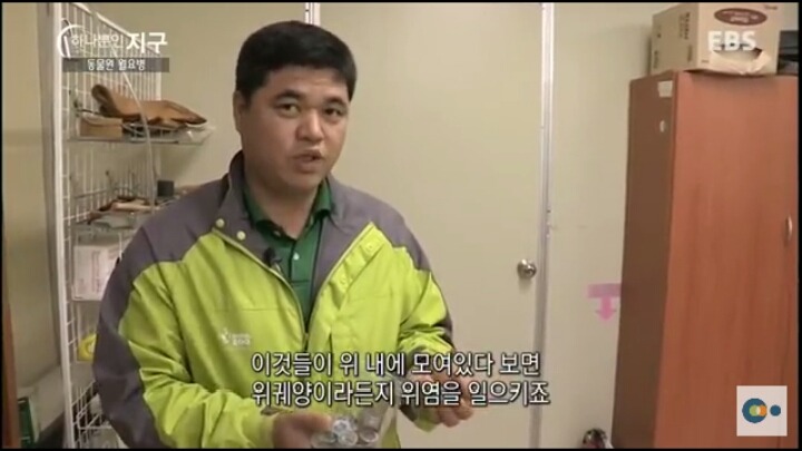 동물원 동물들이 월요병 생기는 이유 | 인스티즈