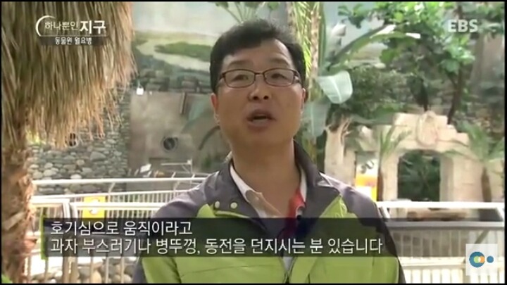 동물원 동물들이 월요병 생기는 이유 | 인스티즈