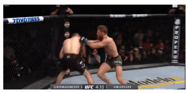 맥그리거 ㅈ될뻔한 장면 | 인스티즈