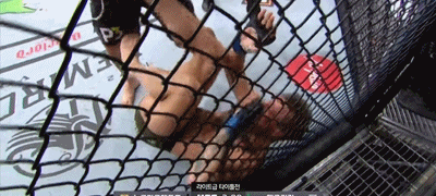 오늘자 MMA팬들 사이다 마시는 장면.GIF | 인스티즈