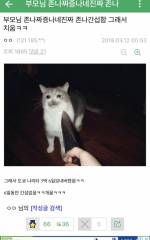 디씨의 흔한 패륜아 인스티즈 instiz 이슈 카테고리