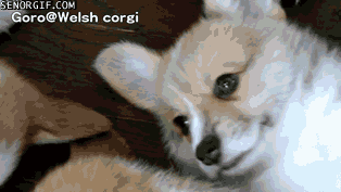 대학 MT 마지막 날 아침.gif | 인스티즈