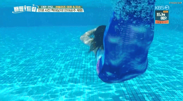 뜻밖의 PT8번 지수 (데이터 주의) | 인스티즈