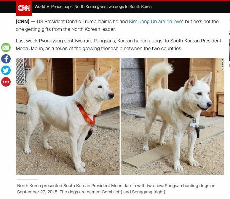  북한의 풍산개 선물에 흥분한 CNN | 인스티즈