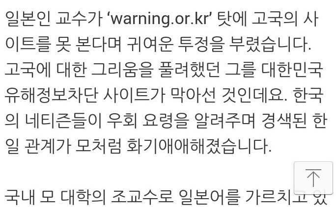 한 일본인 교수의 한국 인터넷에 대한 불만 | 인스티즈