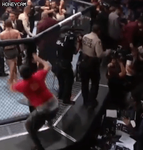 코너 맥그리거의 고소 거부로 린치를 걸었던 하빕의 동료 3명 전부 풀려남 | 인스티즈