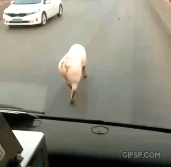 왜 줄여쓰는지 모르겠는 말 | 인스티즈