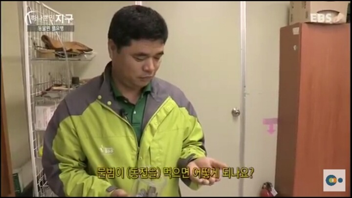 동물원 동물들이 월요병 생기는 이유 | 인스티즈