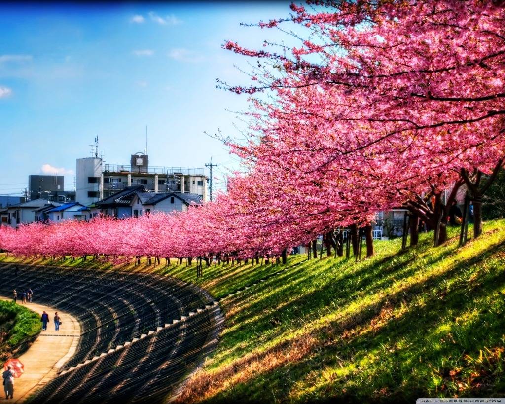 이제 곧 보게 될 풍경 ㅎㄷㄷㄷㄷ .jpg | 인스티즈