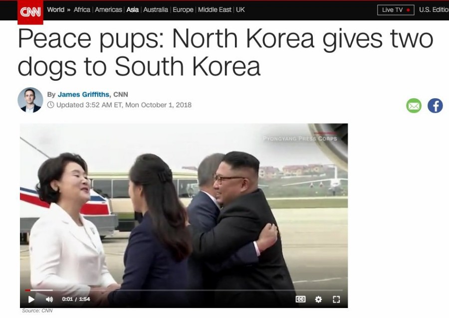  북한의 풍산개 선물에 흥분한 CNN | 인스티즈