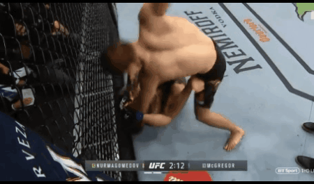 하빕 vs 코맥 무서웠던 장면 | 인스티즈