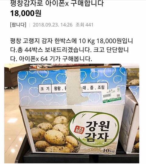 여전히 중고로운 평화나라.jpg | 인스티즈