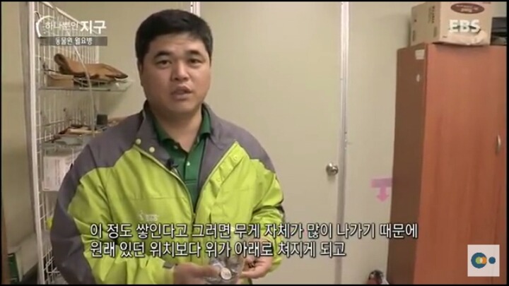 동물원 동물들이 월요병 생기는 이유 | 인스티즈