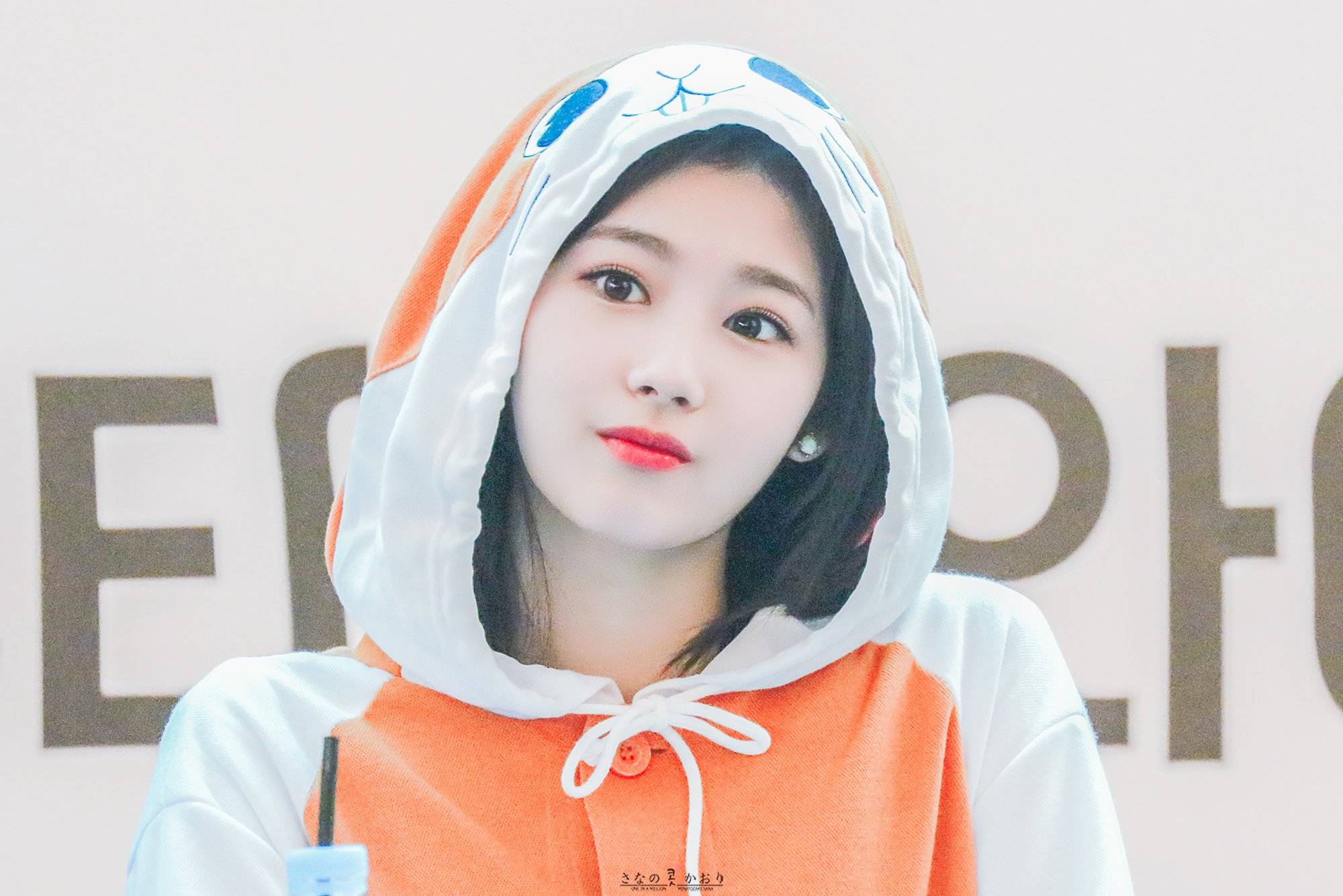 사나 좋아하시나요?.jpg | 인스티즈