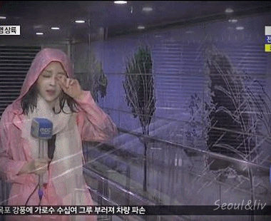 강풍 체험하는 기상캐스터.gif | 인스티즈