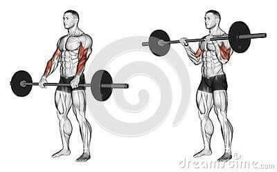 각 근육별 운동법.jpg | 인스티즈