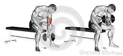 각 근육별 운동법.jpg | 인스티즈