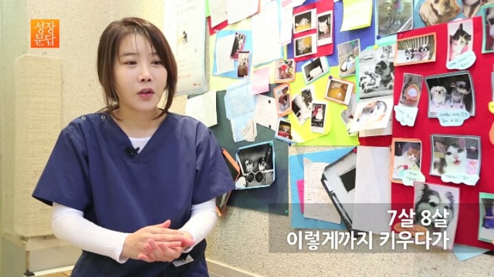 반려동물 키우기를 쉽게 생각하는 사람이 반드시 들어야 할 대답 | 인스티즈