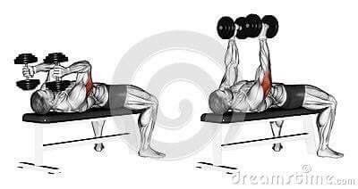 각 근육별 운동법.jpg | 인스티즈