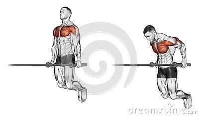 각 근육별 운동법.jpg | 인스티즈