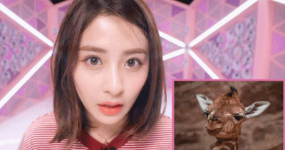 오늘 생일인 플레디스 허윤진 | 인스티즈