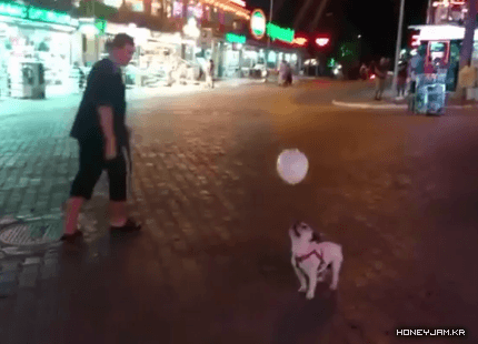 헤딩의 귀재 | 인스티즈