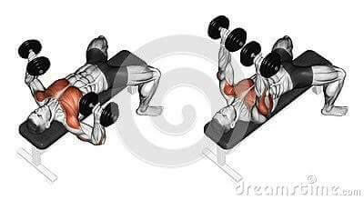 각 근육별 운동법.jpg | 인스티즈