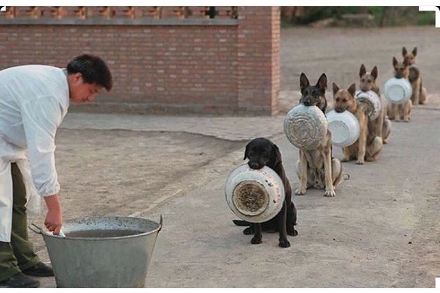 밥 먹어라.jpg | 인스티즈