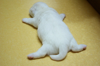 주의 건강한 심장을 가진 사람만 들어오시오 | 인스티즈