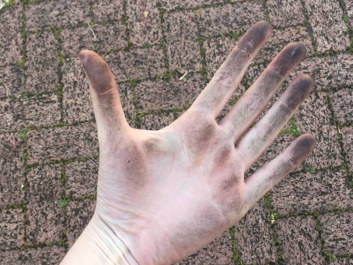 산책해서 기분 좋은 고양이 | 인스티즈