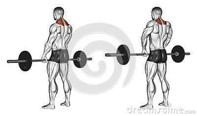 각 근육별 운동법.jpg | 인스티즈