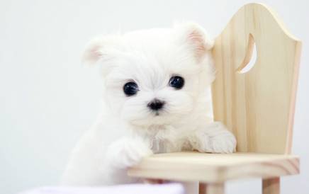 주의 건강한 심장을 가진 사람만 들어오시오 | 인스티즈