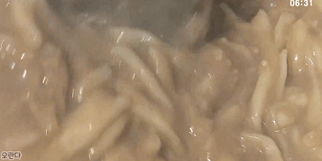 전남 신안군 녹두요리.gif | 인스티즈