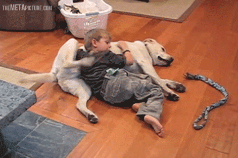 서로 등을 긁어주는 강아지&amp;아기.gif | 인스티즈