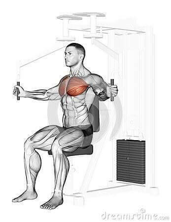 각 근육별 운동법.jpg | 인스티즈