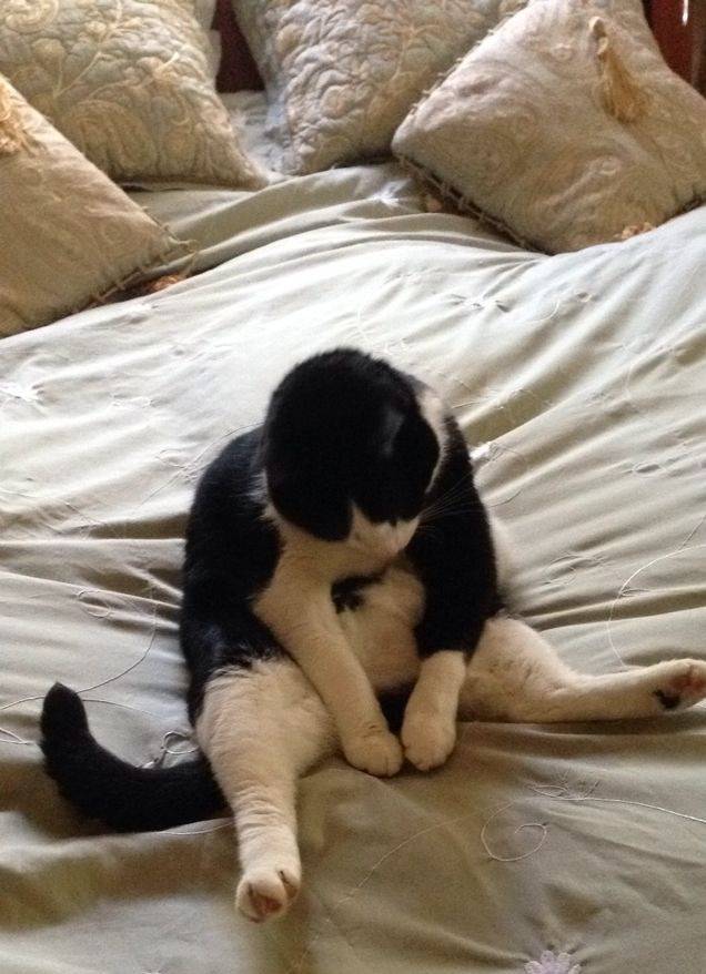 매일 아침 내 모습 | 인스티즈