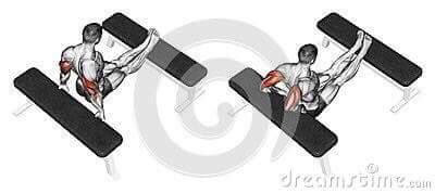 각 근육별 운동법.jpg | 인스티즈