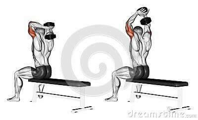 각 근육별 운동법.jpg | 인스티즈