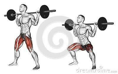 각 근육별 운동법.jpg | 인스티즈