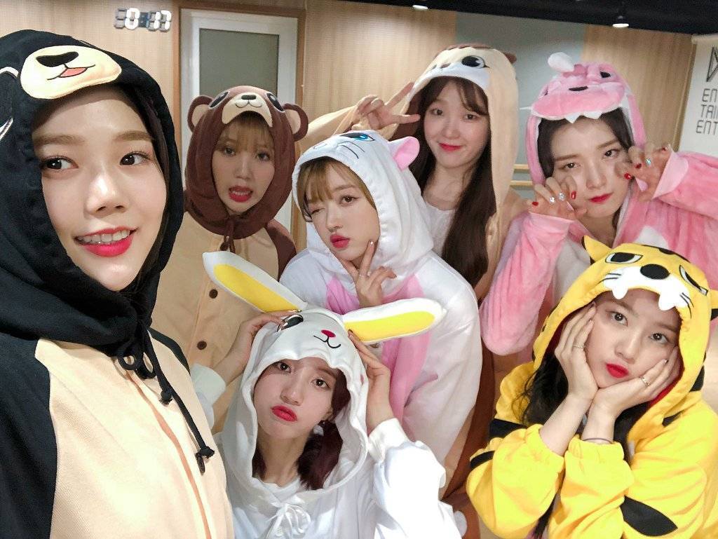 동물잠옷 입고 브이앱 방송한 오마이걸 | 인스티즈