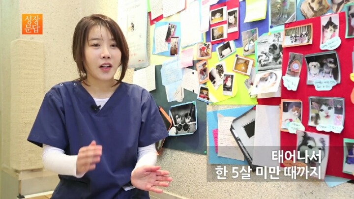 반려동물 키우기를 쉽게 생각하는 사람이 반드시 들어야 할 대답 | 인스티즈