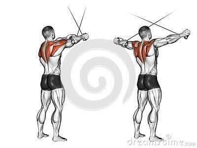 각 근육별 운동법.jpg | 인스티즈