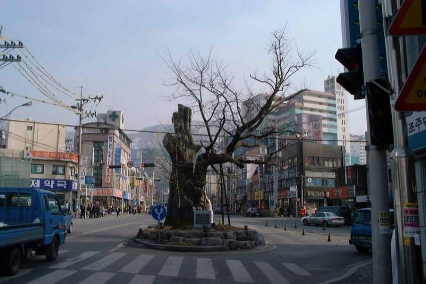 16년전 서울 | 인스티즈