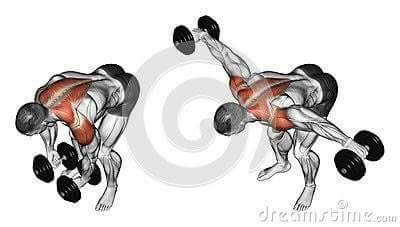 각 근육별 운동법.jpg | 인스티즈